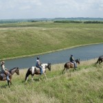 Horseback Safaris at the Wilds 456 - G_ Jones, Columbus Zoo and Aquarium