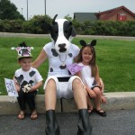 marni cow